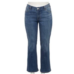 NWT Sonoma Premium Bootcut Jeans Blue Plus Size 22W 24W